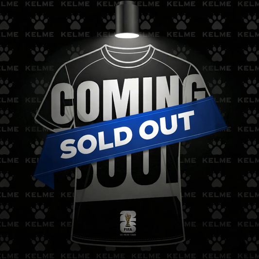 BOSNIA & HERZEGOVINA 2026 WORLD CUP - HOME - PLAYER VERSION JERSEY